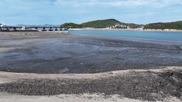 멀리 산이 보이는 경치 좋은 갯벌