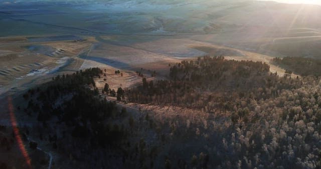 View of a forest and vast fields