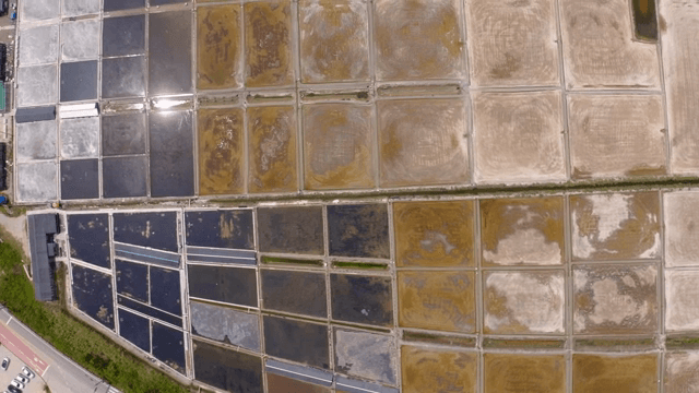 염전의 항공 뷰