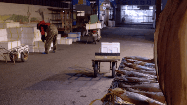 Worker organizing boxes at fish market