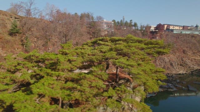 전통 한국 정자의 경치