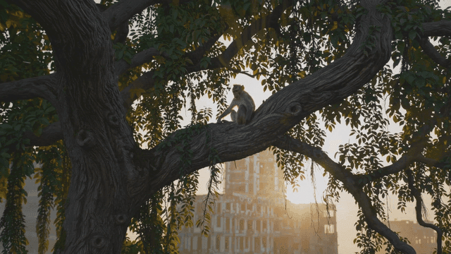 나무 가지에 앉아 있는 원숭이