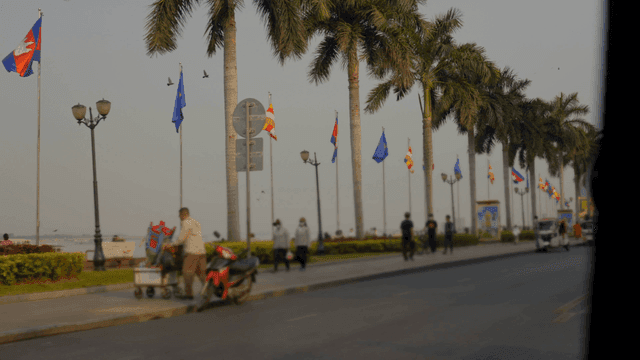 툭툭과 야자수가 있는 거리