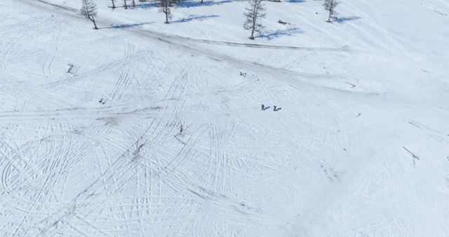 눈 덮인 들판을 걷는 두 사람