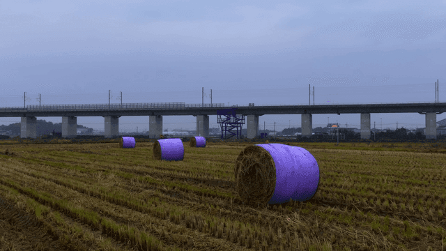 다리 근처 들판의 건초 더미