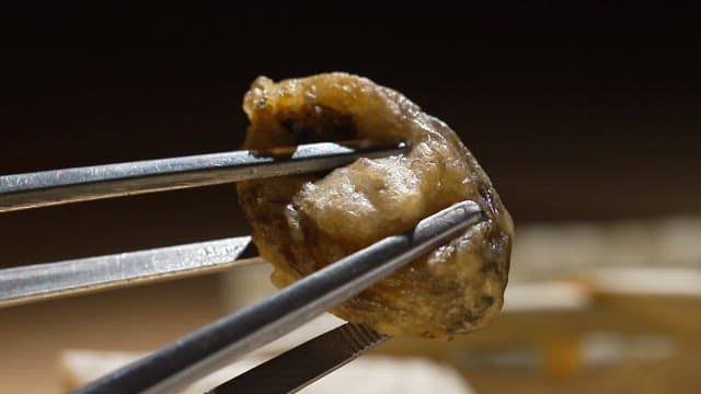 Pcking up golden-brown, crispy fried fish with chopsticks