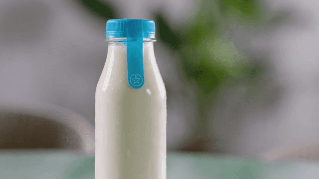 Milk bottle on table