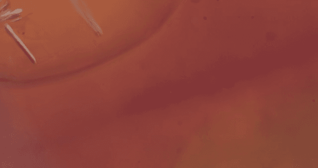 추상적인 패턴의 주황색 액체