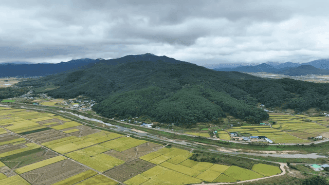 Expansive farmland with lush green mountains