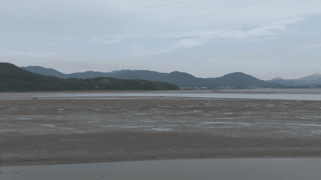 A vast mudflat with distant mountains