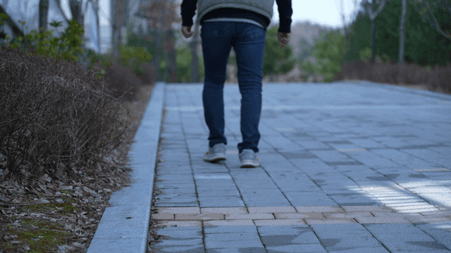 Back of person walking along quiet park path