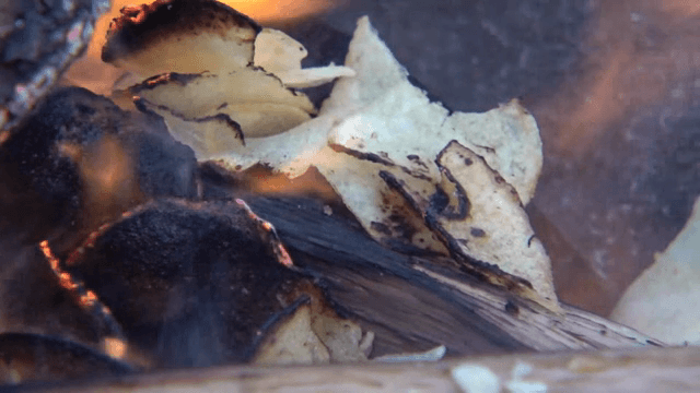 Burning firewood with flames