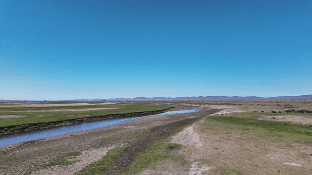 구불구불한 강이 있는 광활한 풍경