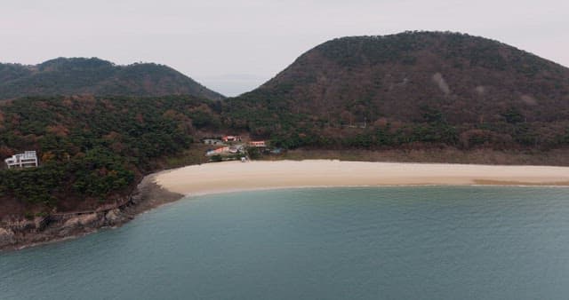 평화로운 해안 산림과 바다 풍경