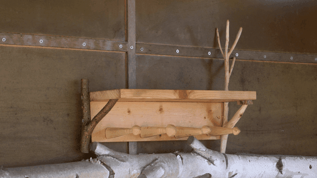 자연 가지가 있는 나무 거치대