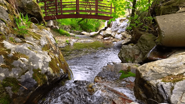 나무 다리 아래의 고요한 시냇물
