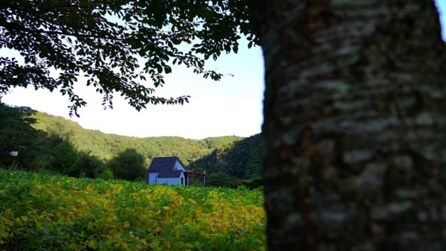 House in the middle of lush mountains