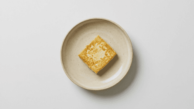 Pan-fried tofu on ceramic plate