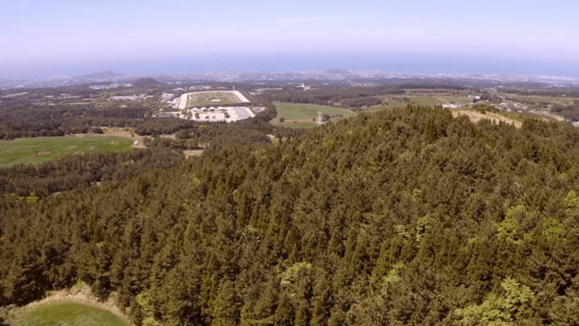 멀리 도시가 보이는 넓은 녹지