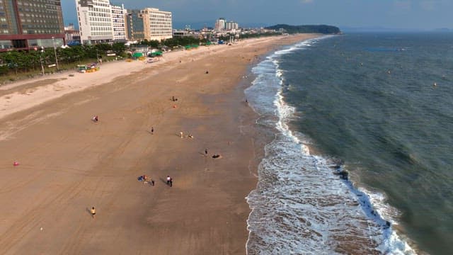 해변에서 화창한 하루를 즐기는 사람들