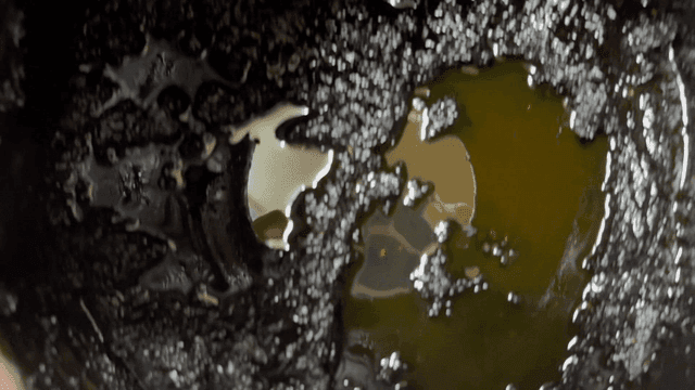 항아리에 담긴 전통 춘장