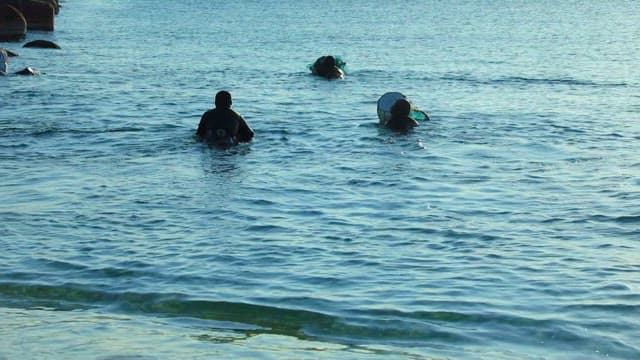 화창한 오후 바다에서 물질하는 해녀들