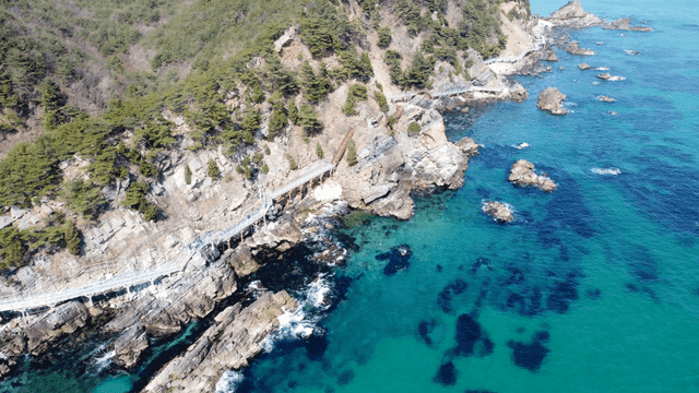 Coastal walking path along cliff