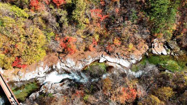 River flowing through autumn foliage