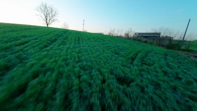 Scenery of the Sun Rising Over Green Farmland