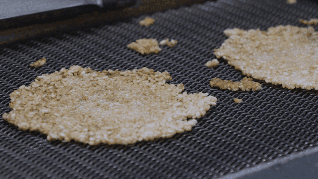Rice crackers on conveyor belt