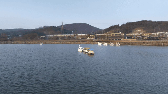 Paddle boats floating on a calm lake