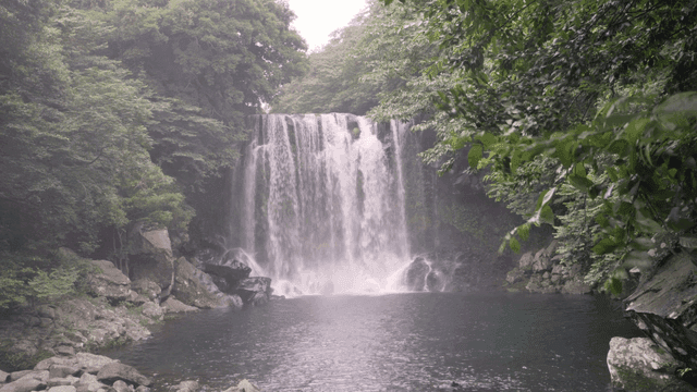 Serene waterfall surrounded by lush greenery