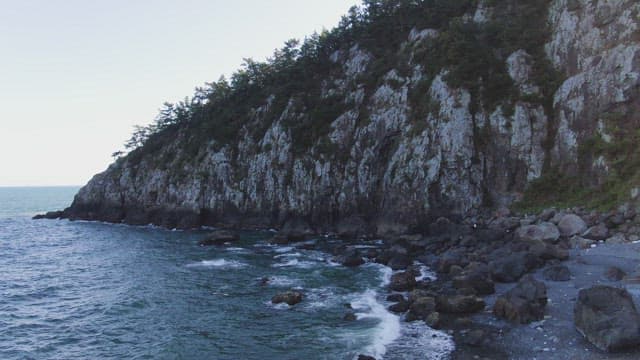 Rocky coastline with lush greenery