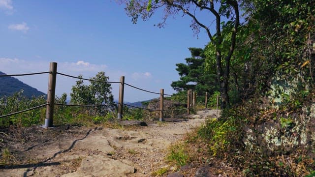 Serene mountain trail on a sunny day with a wooden fence