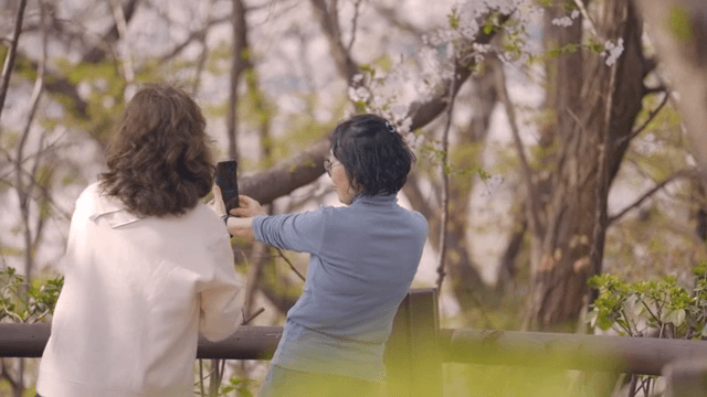 공원에서 사진을 찍는 여성들