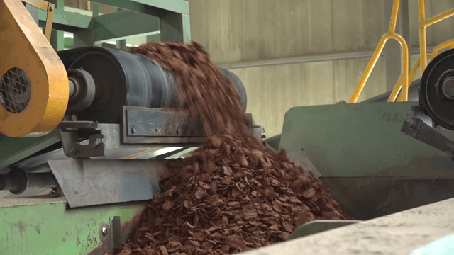 Conveyor belt processing brown material