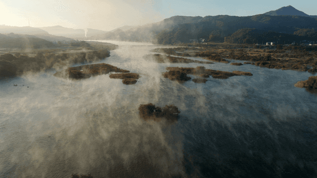 고요한 강 풍경 위의 아침 안개