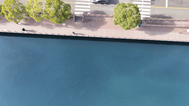 Riverside walkway with trees and road