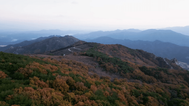 가을 단풍이 있는 산 풍경