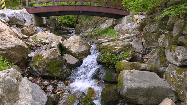 나무 다리 아래로 흐르는 작은 시내