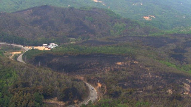 한적하고 평화로운 녹지 사이 좁은 찻길