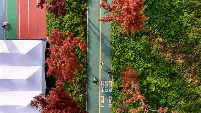 People running on walking path with red autumn leaves