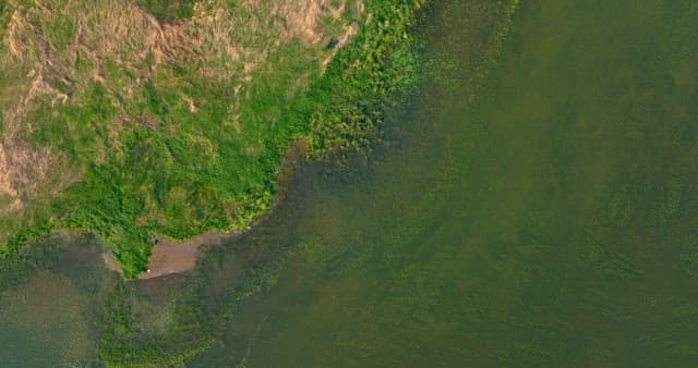 호수와 맞닿은 푸른 인공섬