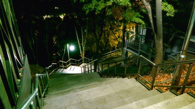 Night view of city park with illuminated stairs