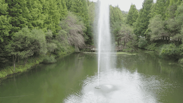 숲 속 연못 위로 솟는 분수