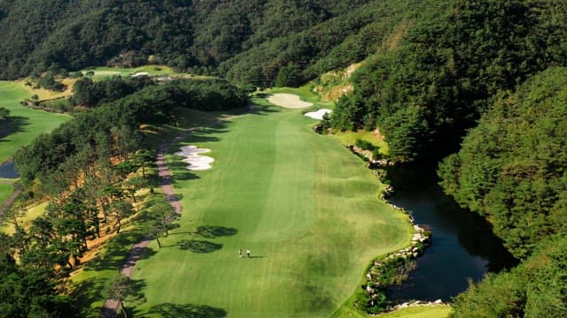 People on Smooth and Lush Green Course