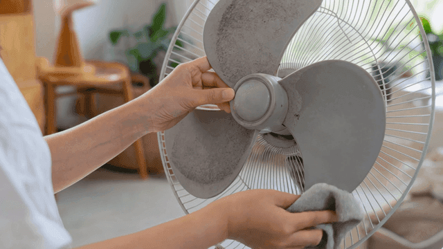 Person cleaning dusty fan blades at home