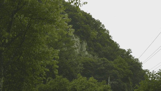 바위 언덕이 있는 푸른 숲