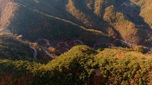 가을의 구불구불한 산길