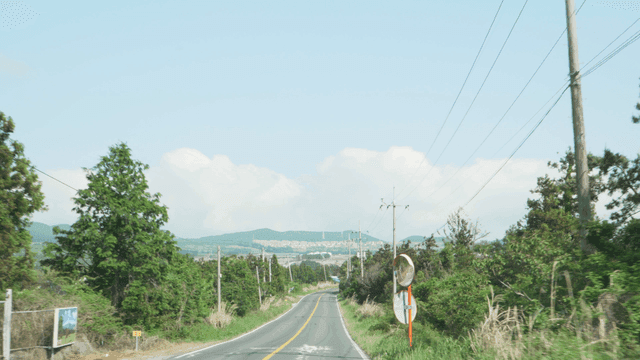 A scenic road surrounded by lush greenery